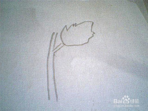 简笔画生长着的苍耳