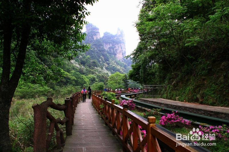 到张家界旅游攻略