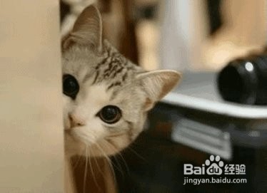 两岁孩子哭闹怎么教育