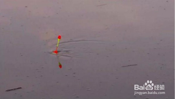 水库钓鱼小罗非太多怎么办