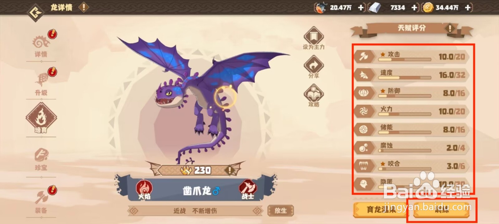 驯龙高手旅程凿爪龙天赋评分如何进行训练？