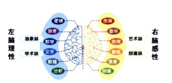 英语单词形象记忆法,英语单词联想图像记忆法