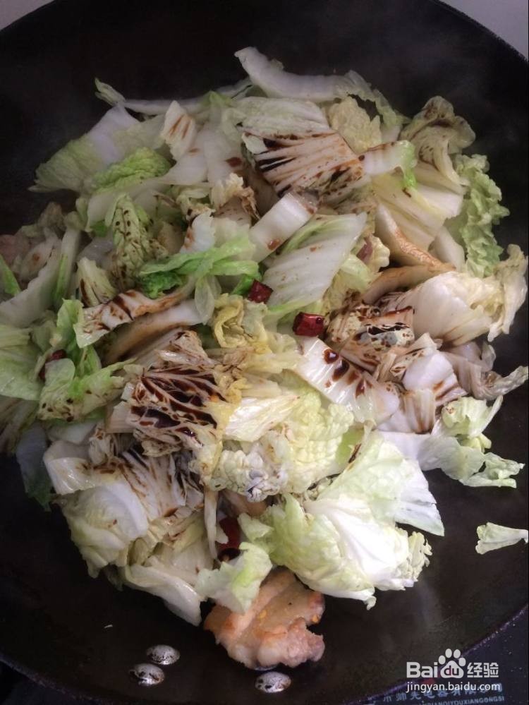 白菜猪肉炖粉条