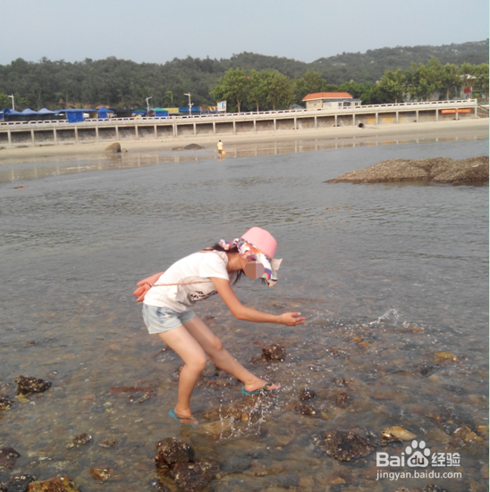 阳西沙扒湾之行
