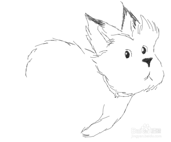 卡通线稿小猫是怎么画的