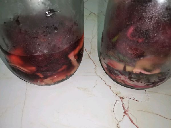 紫苏杨梅桃子姜