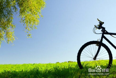 适合孩子在春天做的运动有哪些