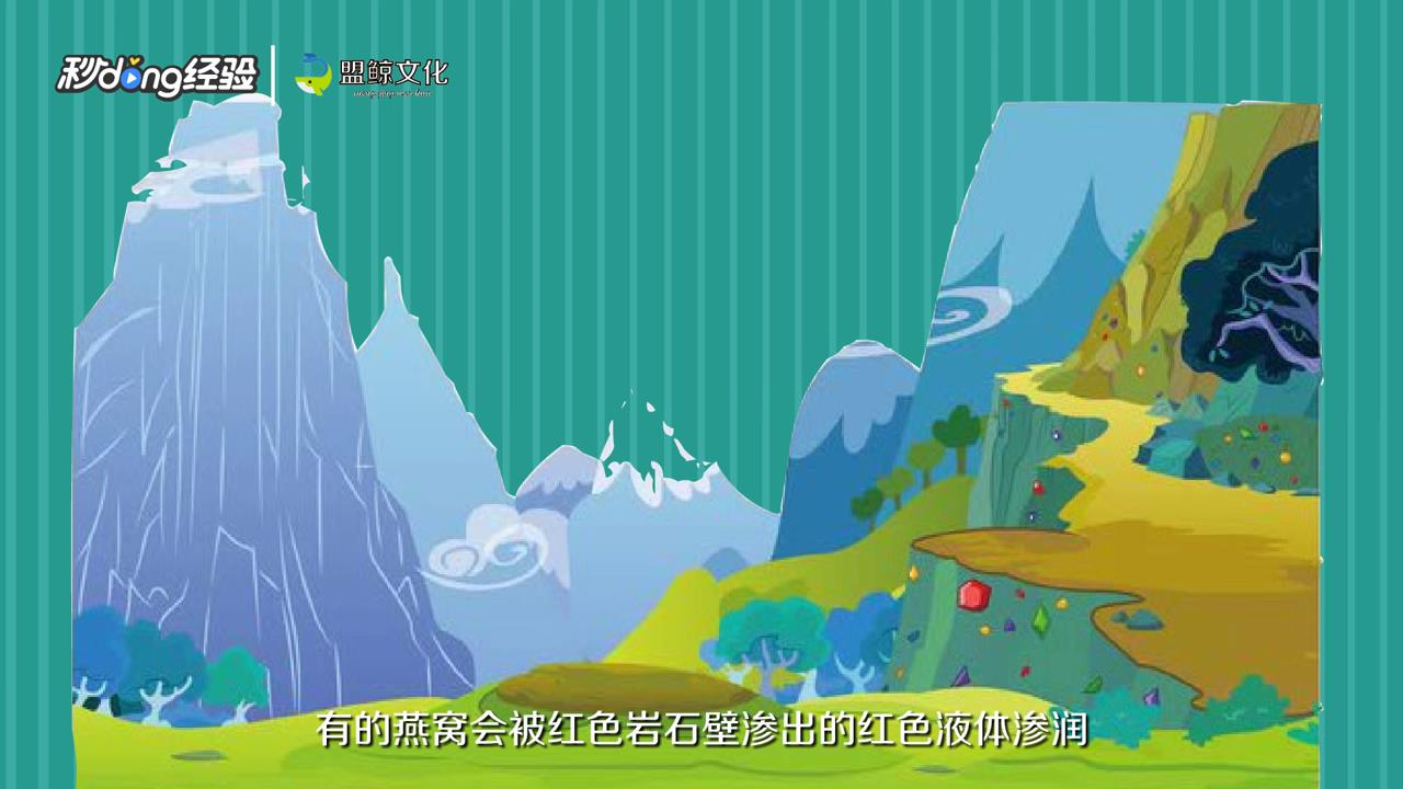 燕窝是怎么形成的
