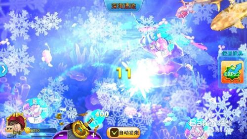 满满的捕鱼游戏小技巧