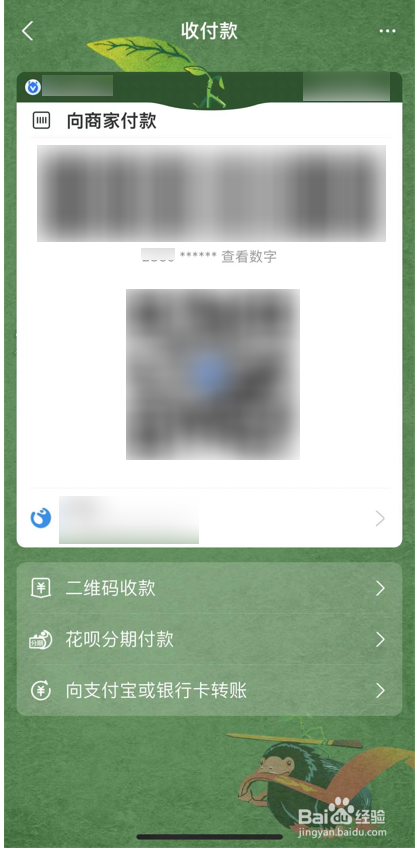 支付宝皮肤的使用方法