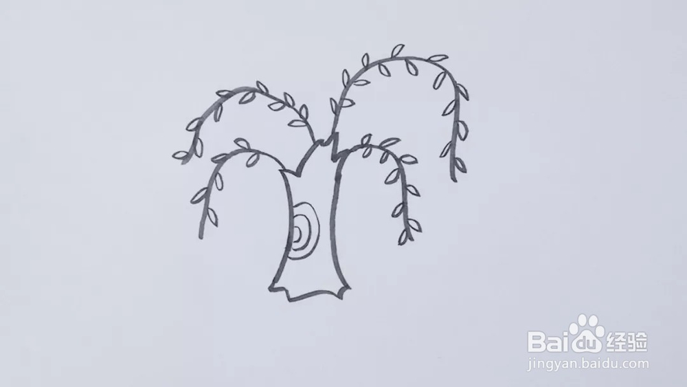 植物系列——教你怎么绘画植物柳树