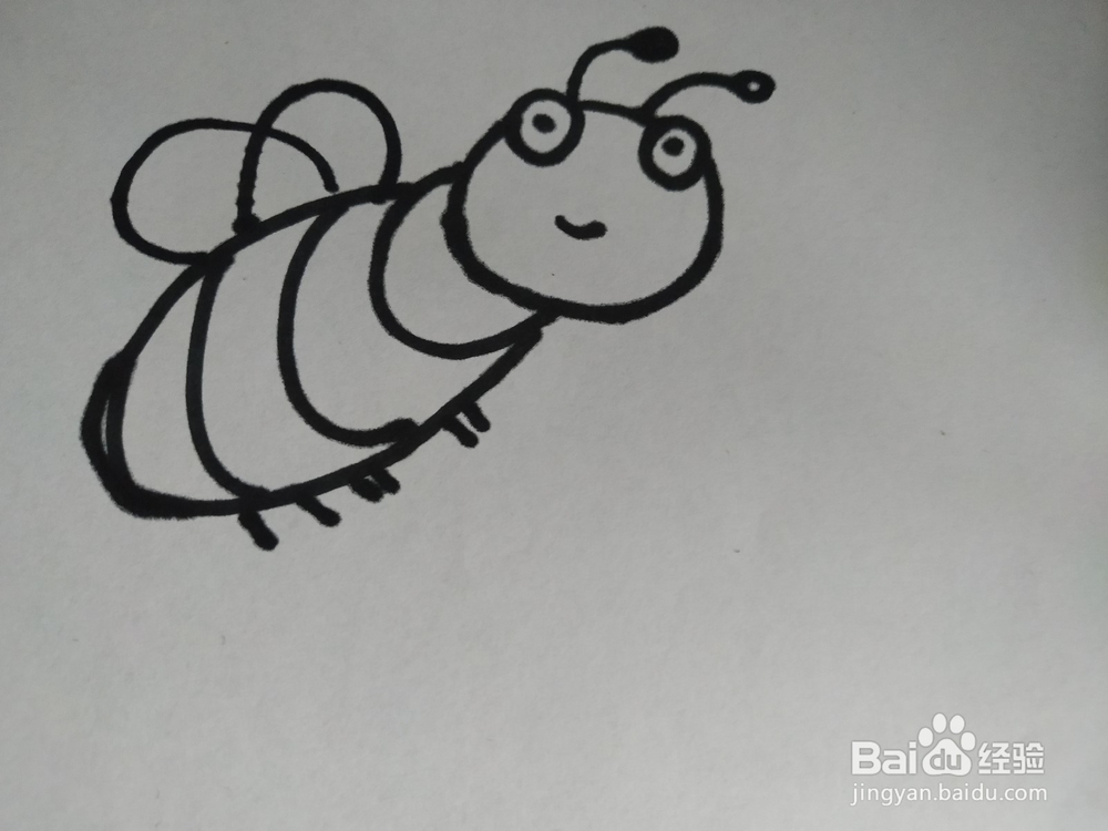 蜜蜂的简笔画技法4