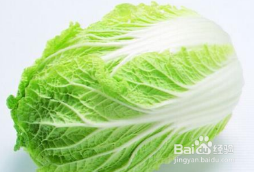 白菜怎么种植？