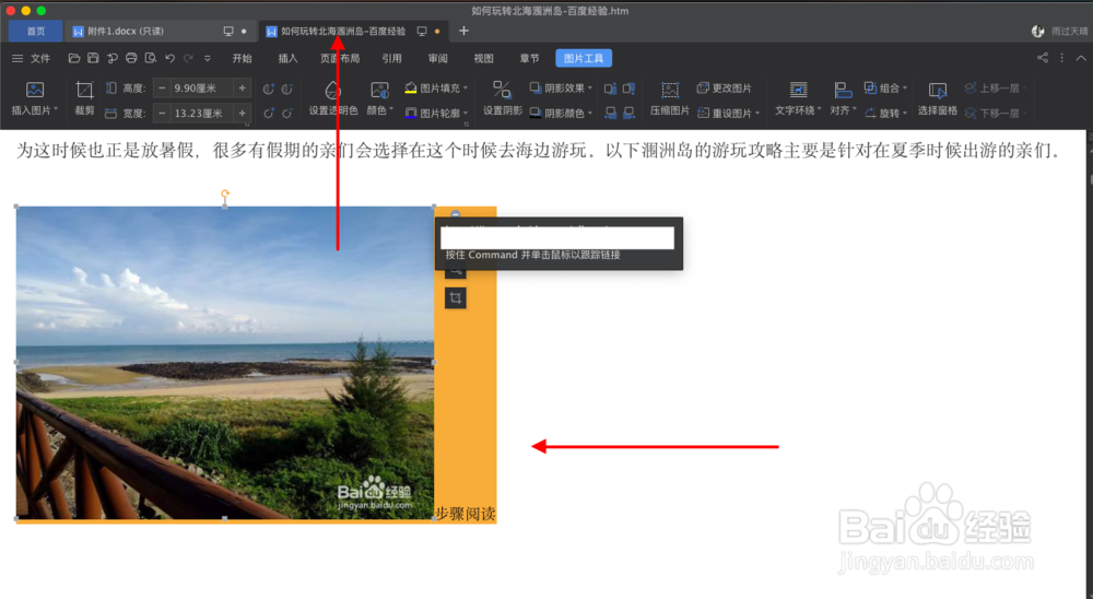如何将网页下载为离线网页并提取网页中的图片?
