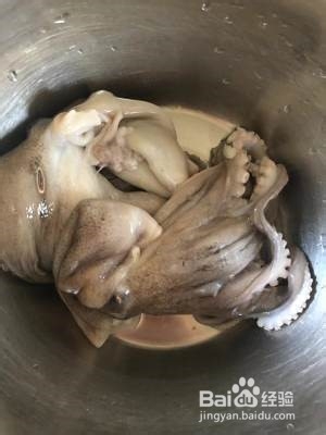 美味的酱焖八爪鱼