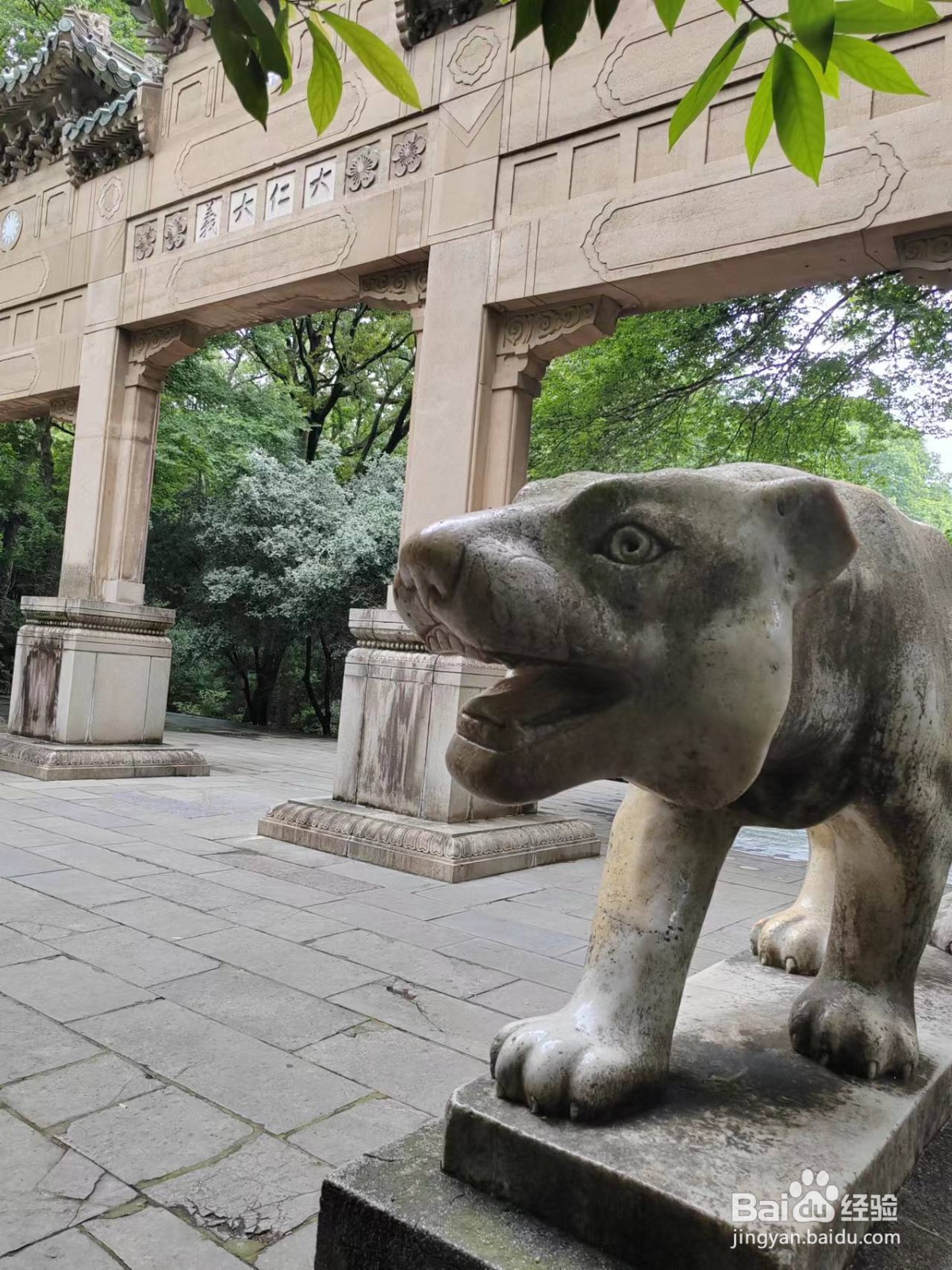 南京旅游攻略