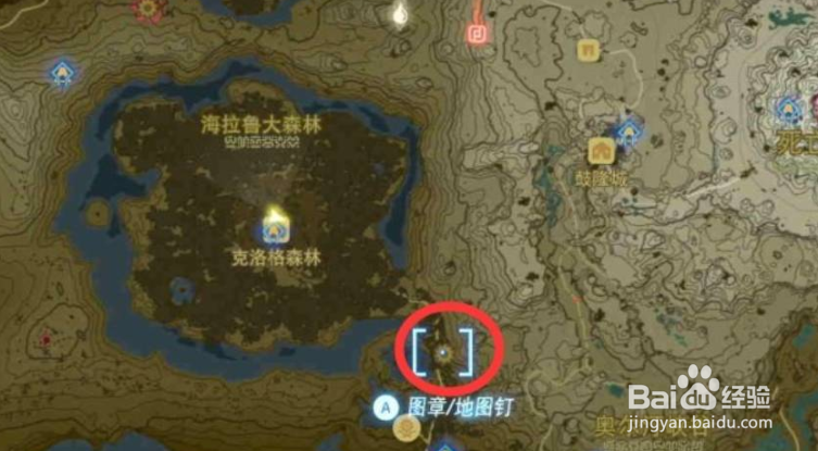 塞尔达王国之泪怎么跟德库树对话