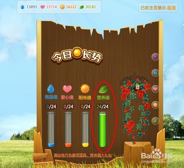 普通用户QQ花藤施肥技巧