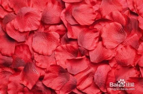 枚槐红泡酒方法