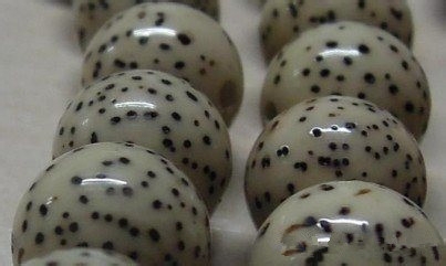 新入手的星月菩提到底如何盘玩?