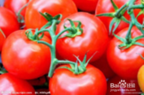 <b>常吃西红柿有哪些好处</b>