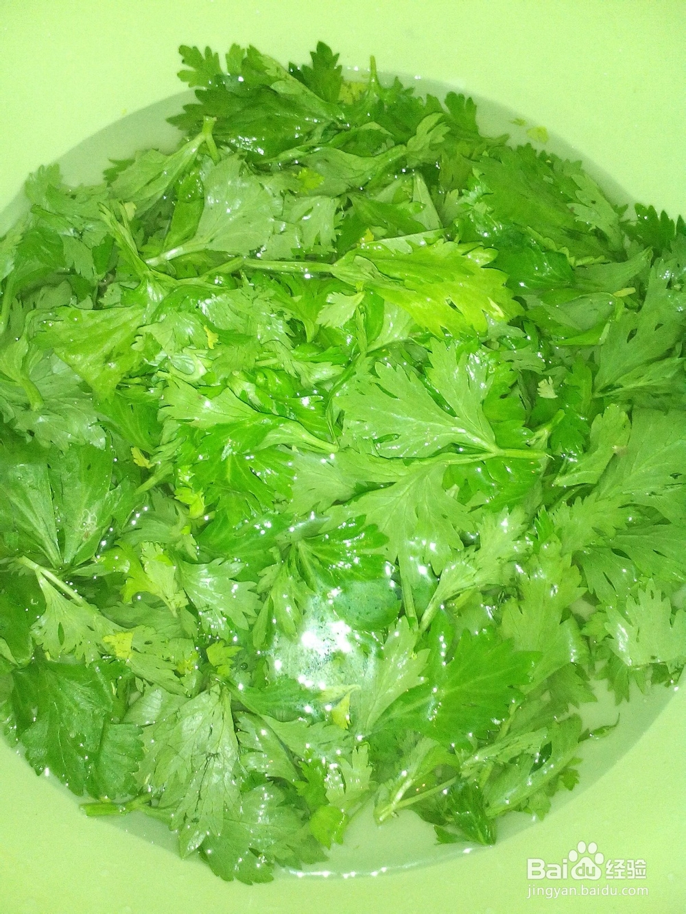 怎么做芹菜叶子