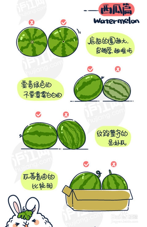 水果的正确吃法