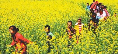 春季踏青赏花出游要注意什么？