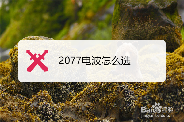 2077电波怎么选