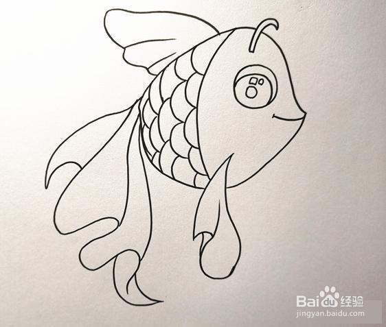 活泼的小金鱼简笔画怎么画