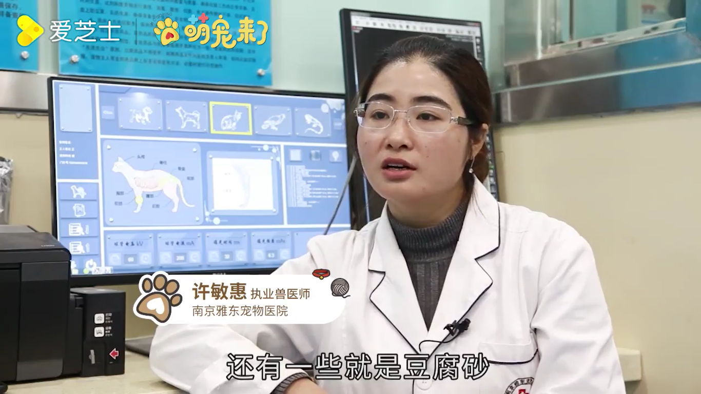 怎么教猫咪用猫砂