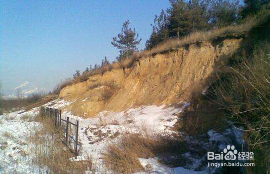 什么样的墓地不能选择呢