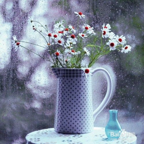 如何为怀孕创造舒适的生活环境