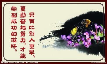 你应该了解的成长故事