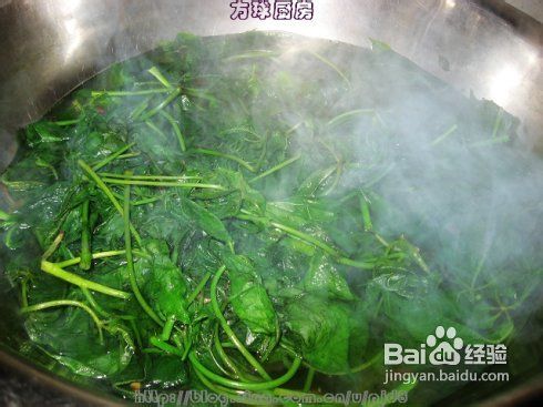 帮你赶走失眠的凉拌刺五加---附六款野菜的做法