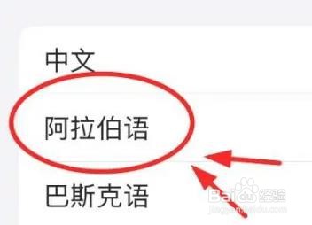 iPhone14如何设置朗读的语言为阿拉伯语