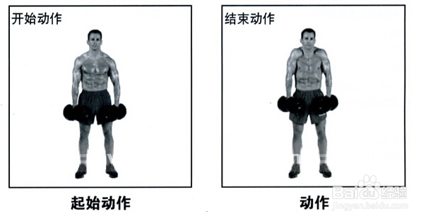 怎样练出完美肌肉：[4]练就厚实的肩膀