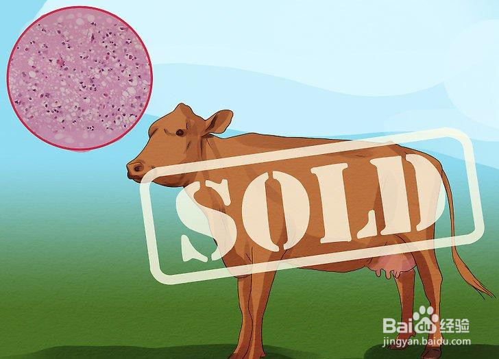 如何避免疯牛病