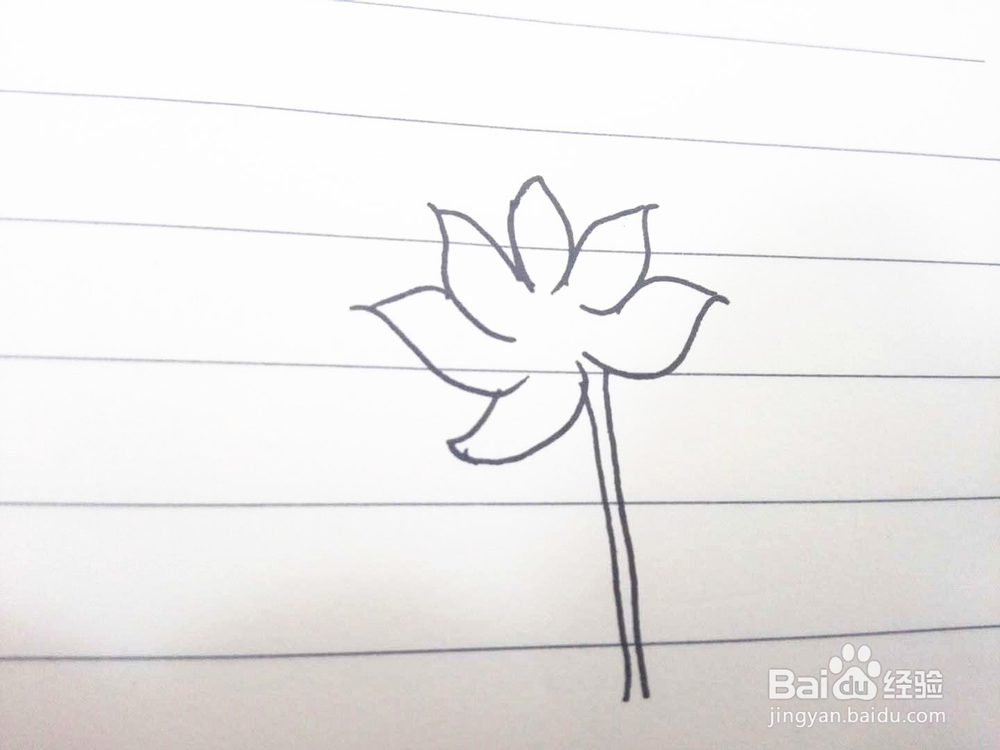 简笔画之荷花经验分享