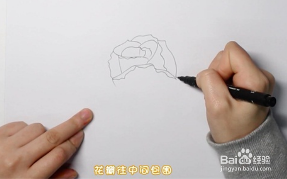 玫瑰花简笔画怎么画