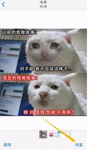 苹果手机在哪查看最近删除的照片