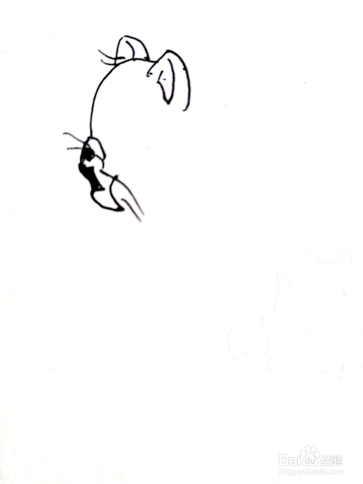 弯着腰的猫线描画怎么画
