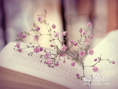 生活中被孤立怎么办