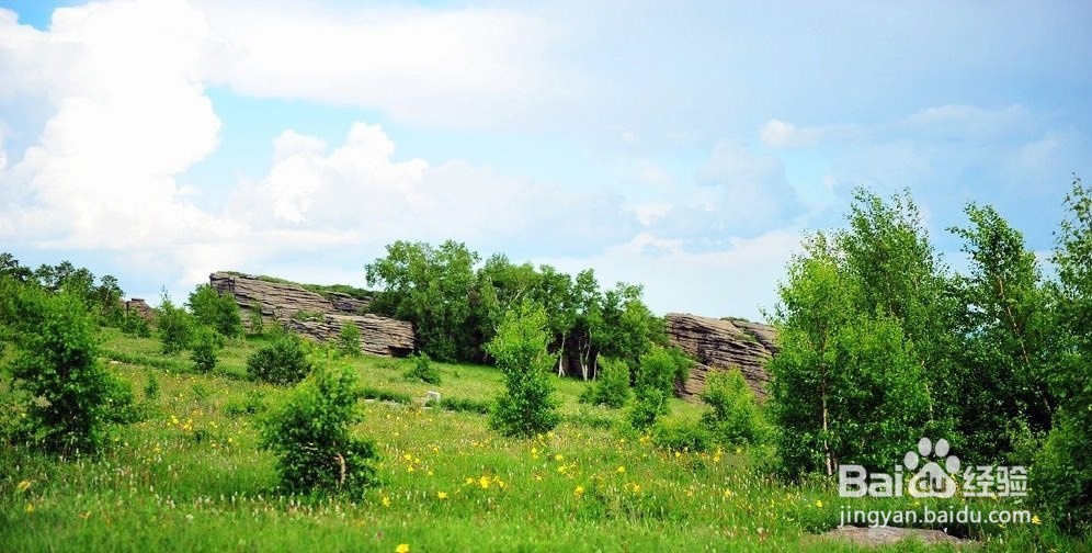如何得到女孩的芳心?