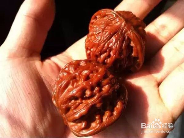 怎样揉文玩核桃