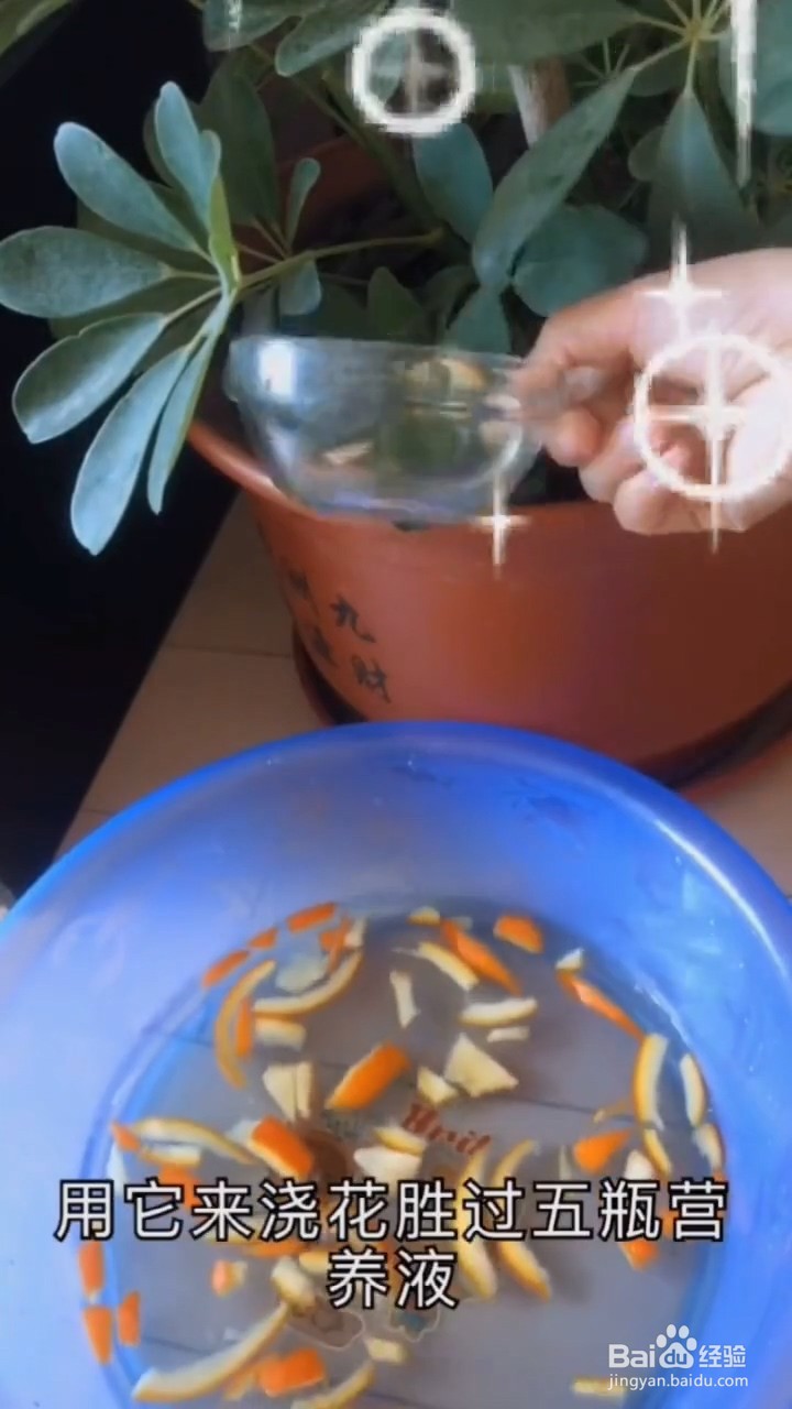 橘子皮的妙用。