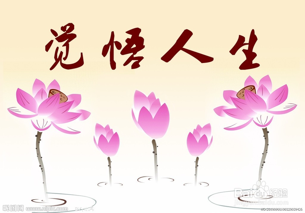 最新经典优美语录大全