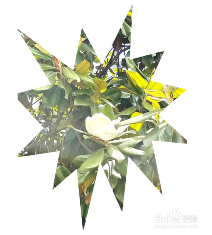 如何把照片裁剪成爆炸形？