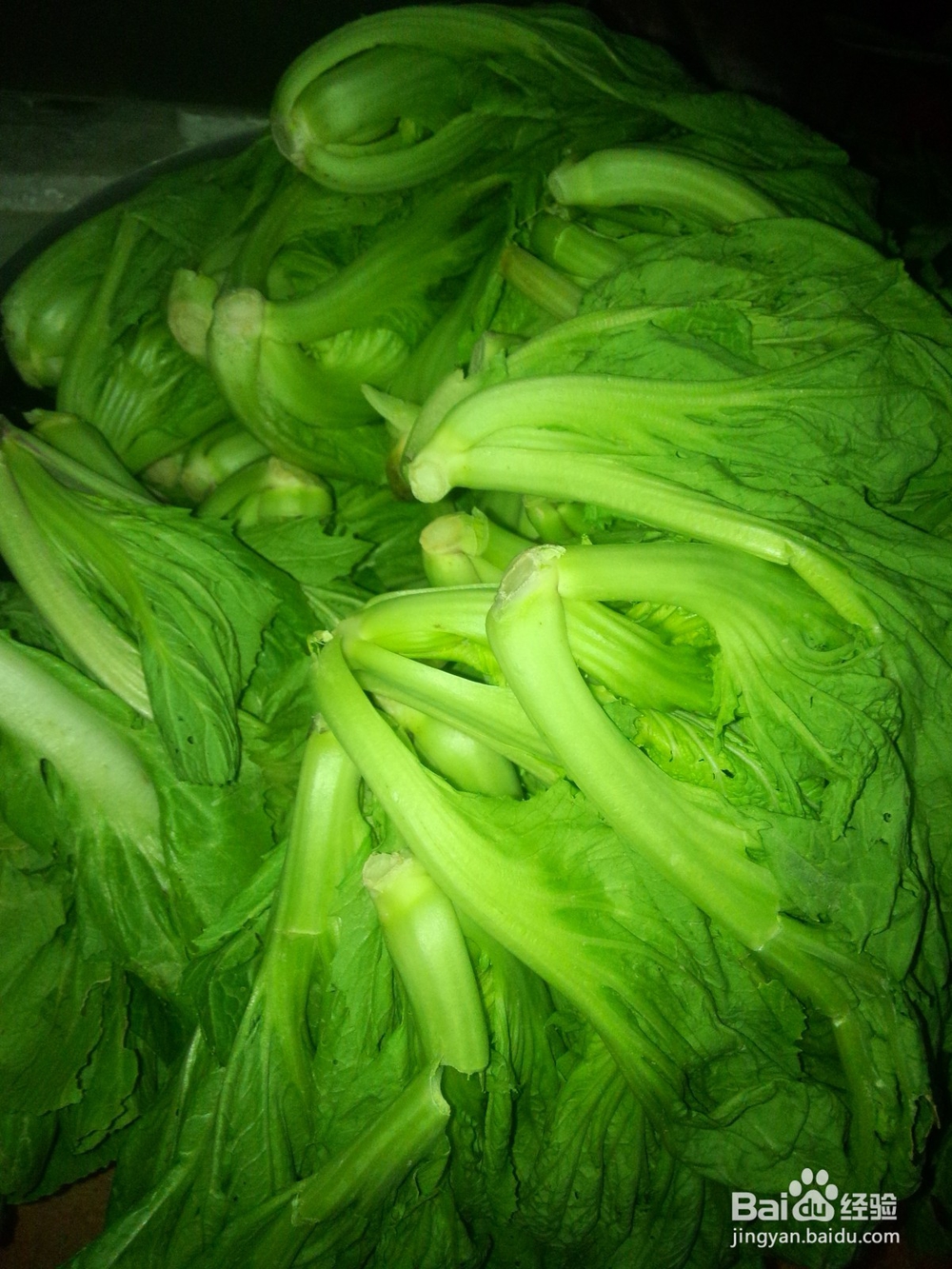 泡好的芥菜炒肉。