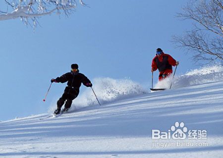 滑雪初学者需要掌握的要领